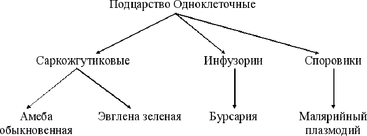 Экономический цикл: причины, фазы и виды | галяутдинов — сайт преподавателя экономики