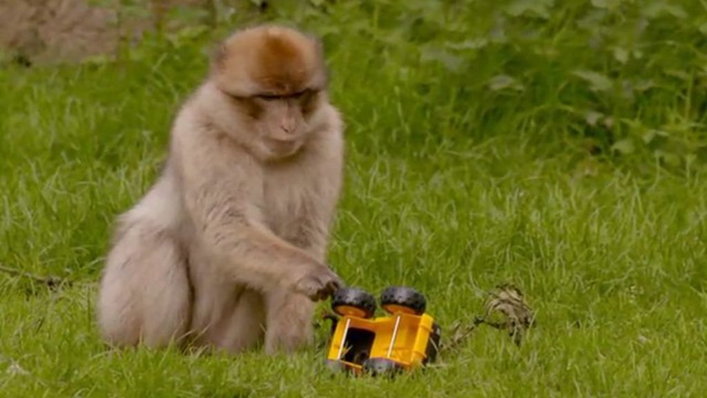 Обзор do not feed the monkeys – пока вы читаете статью, за вами наблюдают · 30.11.18 · cadelta.ru