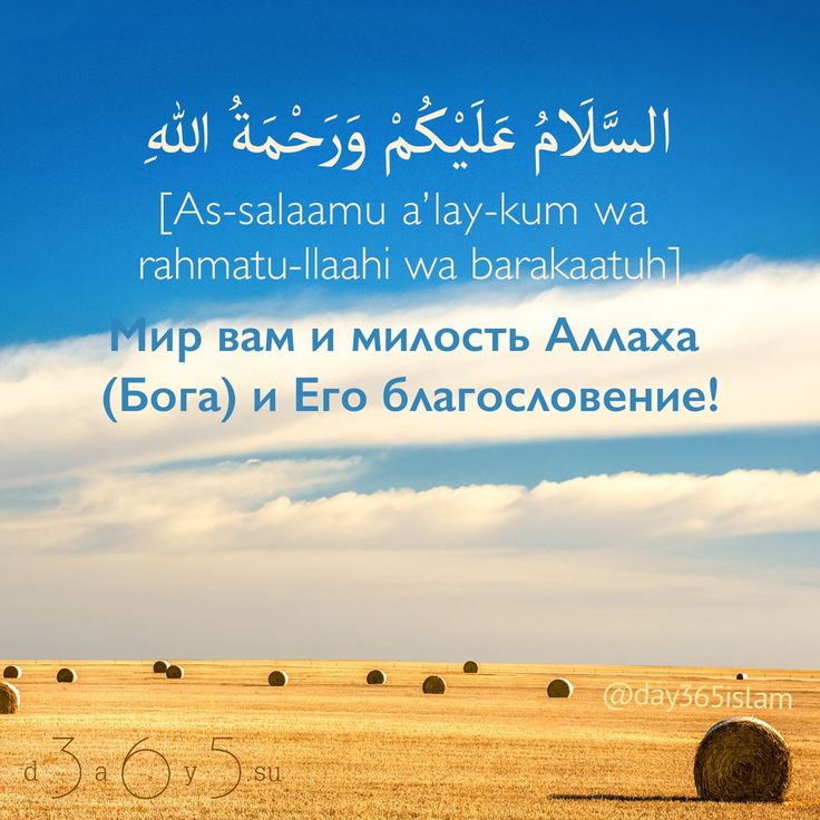 85 фраз рене декарта, чтобы понять его мышление