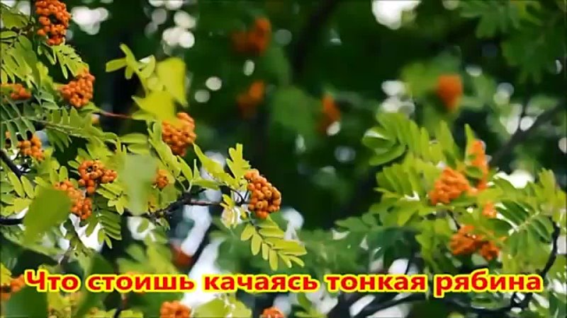 Текст песни людмила зыкина - что стоишь качаясь на сайте rus-songs.ru