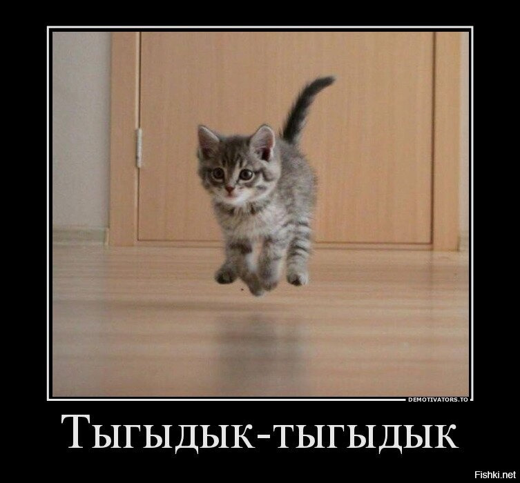 Конь тыгыдымский откуда пошло выражение