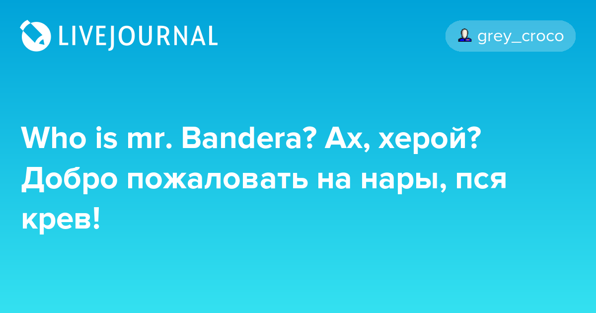 Что такое польское пся крев: история и значения - статья на сайте