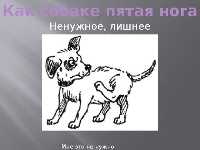 Без задних ног: значение фразеологизма и его происхождение