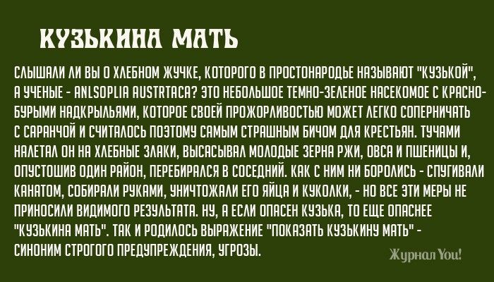 Откуда произошли и что значат популярные фразеологизмы: часть 2
