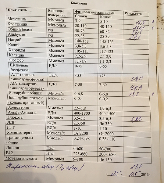 Ферменты. считаем. — teletype