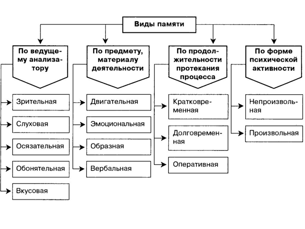 Двигательная память: как улучшить грацию и точность движений