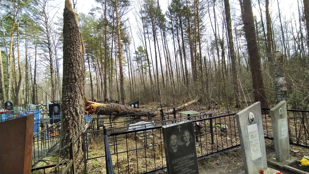 К чему снятся могилы, и стоит ли страшиться таких снов?