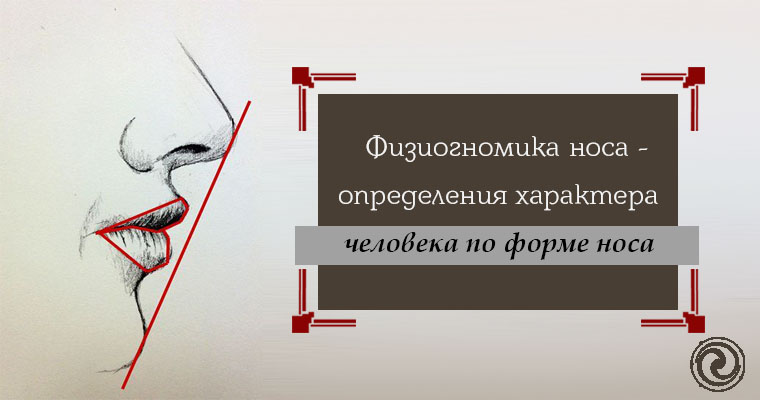 Реферат анатомические особенности носа