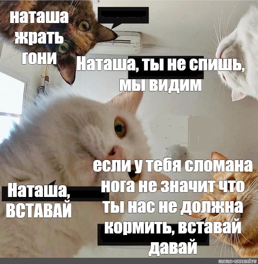 Кто такой чепушила (чепушило)?