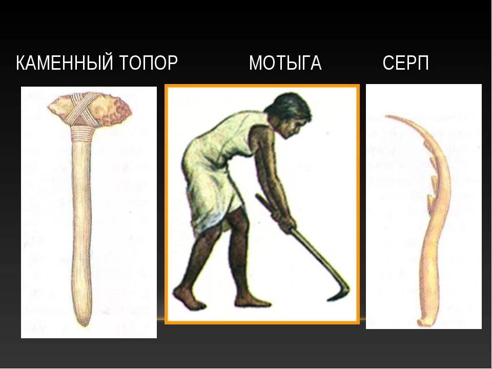 Что значит зернотерка история 5 класс