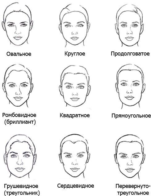 Основы анатомии человеческого лица: особенности - cg магнит
