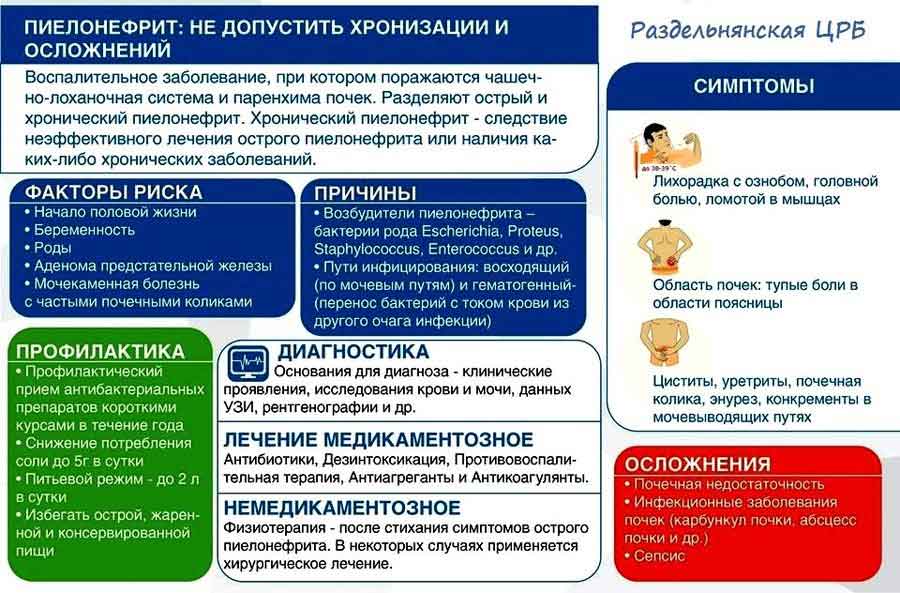 Буриданов осел, или почему с выбором лучше не затягивать