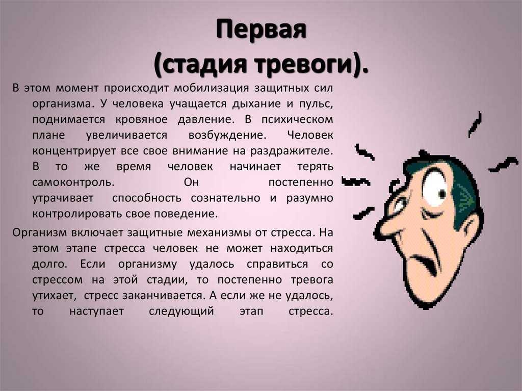 Страх: психологические основы и известные научные исследования этого феномена | блог 4brain
