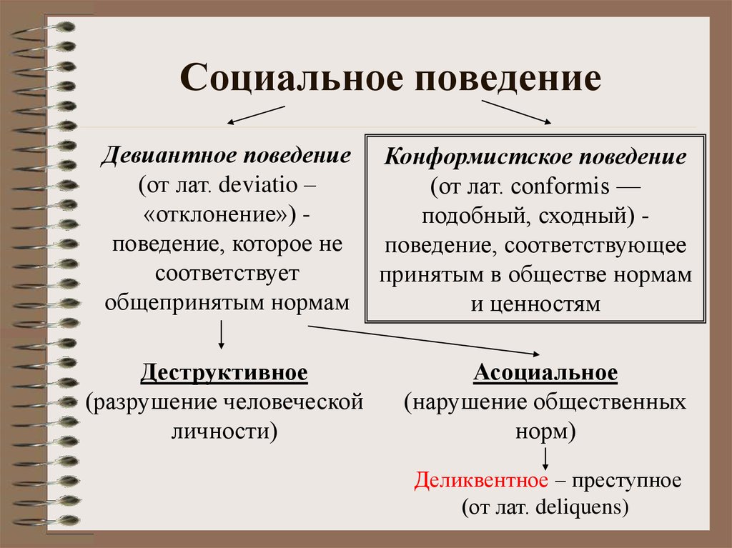 Понимаем социальные роли человека: гид для каждого