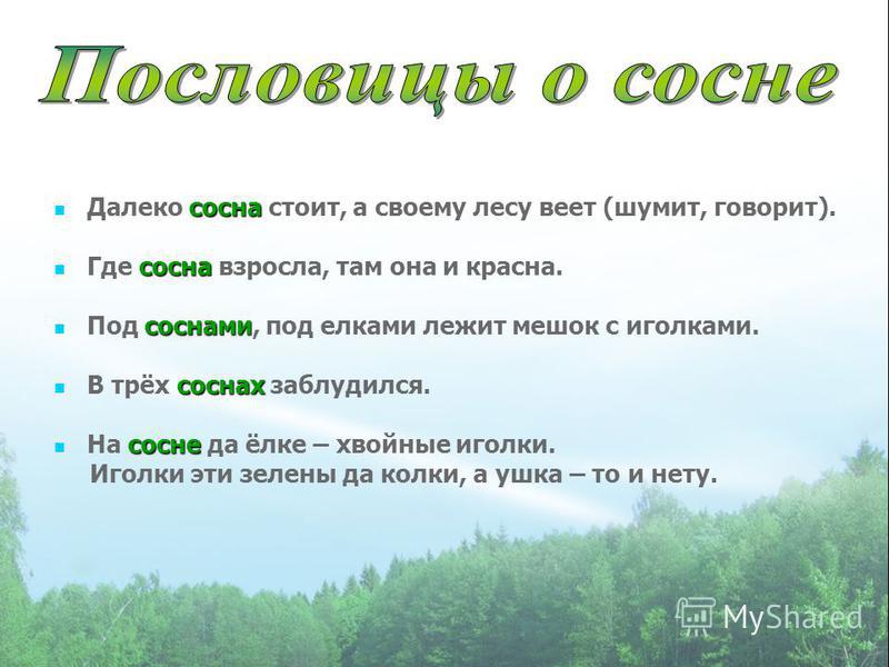 Символ сада в пьесе «вишнёвый сад» чехова – анализ для сочинения по теме символики