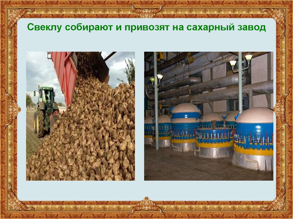 Великий и ужасный сахар. вся правда про один из самых противоречивых продуктов на вашей кухне — статья на тчк